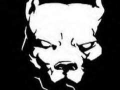 BEAST669